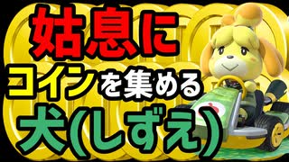 姑息にコインを集める犬、それがしずえ!!【マリオカート８DX】【実況】