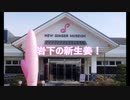 Traditional food岩下の新生姜！!ボーカロイド オリジナル曲