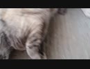 Let me touch a lot たくさん触らせてくれた