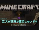 【実況プレイ】広大な世界で散歩しない【Minecraft】【第六回】#7