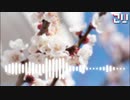 朝桜