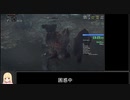 Bloodborne 栗本チャレンジ素手のみ ヤーナムの影部門RTA 16分27秒