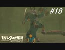 【実況】マスターモード縛りプレイやる part１８【ゼルダの伝説 ブレスオブザワイルド】