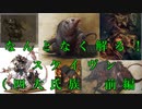 【Total War:WARHAMMER Ⅱ】なんとなく解る！スケイヴン＃２（解説動画）【夜のお兄ちゃん実況】