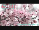 桜ノ雨 / Covered by mercy