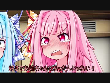 好きでお姉ちゃんになったんじゃない！！