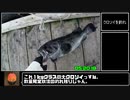 【リアル釣堀アタック】暇つぶしフィッシングPart15 海上釣堀田尻 RTA 05:20:18【クロソイチャート】