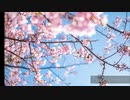 初心者が3月9日の歌詞を付けてみた❗
