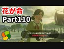 【実況】今年で定年を迎える父をハイラルの大地に放り込むPart110【ゼルダの伝説BotW】