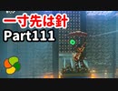 【実況】今年で定年を迎える父をハイラルの大地に放り込むPart111【ゼルダの伝説BotW】