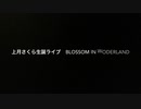 上月さくら生誕ライブ  Blossom in Woder Land」告知PV