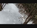 日本百名山追体験 5山目 甲武信ヶ岳 part4 中編