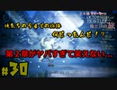 【24歳フリーターの】OCTOPATH TRAVELER【オクトパストラベラー】 part30【俺だけの旅】