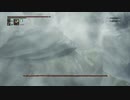 【レベル544】千景HPマイナス血晶でカンストボス攻略【Bloodborne】　02