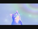 PUSS!やったときの3