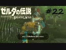【ゼルダの伝説BotW】記憶喪失だけどちょっと世界救ってくるPart22【実況】