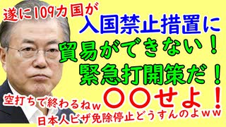 韓国文在寅大統領、驚愕の打開策！新型コロナウイルスで貿易不振に。