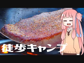 【琴葉茜】徒歩キャンプ実況 #3【国産和牛 ミスジ（999円/100g）】