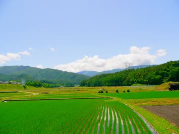 中央競馬脇役列伝　第１１話