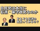 自民党は本当に右派・保守政党なのか？ / Is the Liberal Democratic Party conservative?(Japanese)