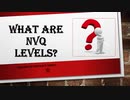 What are NVQ levels