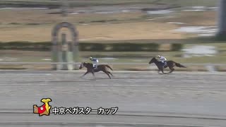 第4回中京ペガスターカップ エムエスオープン