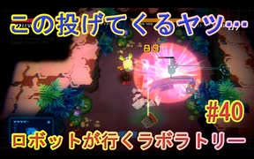 【 初めてのテラリウム】void tRrLM(); //ボイド・テラリウム　part40
