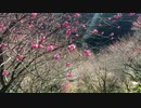 第二世界の旅日記 066【スイフトで走る仁淀川町】