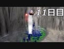 【実況】日刊ピクミン　11日目　～抜出～