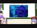 もこけねのSCPで暇つぶし-43