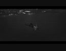 【ニコラップ】 変身 - 猫背の神様×瘡蓋