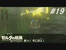 【実況】マスターモード縛りプレイやる part１９【ゼルダの伝説 ブレスオブザワイルド】