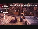 【MHWI】環境生物最大最小金冠紹介40アンドンウオ