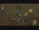 【Switch】リンクの記憶なしで成り行き旅【プレイ動画】part39