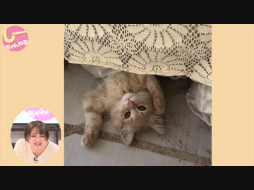 井澤詩織のしーちゃんねる 第122回