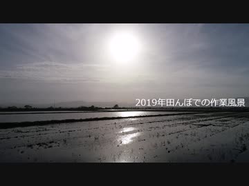 田んぼ作業風景　2019