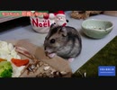 モコちゃん邪魔しないで