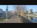芥川桜堤を歩いてみた (2020年3月中旬)