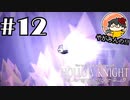 【やがみんの探索してみた】Hollow Knight 【#12 新たな手段】