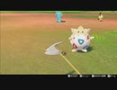 ポケットモンスターシールド　新ポケのみでストーリープレイその10