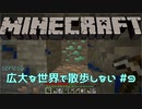【実況プレイ】広大な世界で散歩しない【Minecraft】【第六回】#9