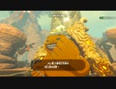 【Switch】リンクの記憶なしで成り行き旅【プレイ動画】part40