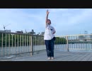 【にゃるぽん】ワールドワイドフェスティバル【踊ってみた】