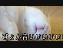 【クトゥルフ神話TRPG】ランタンの灯りは夜の明けない街に灯る　part６【ゆっくりTRPG】