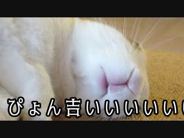 【クトゥルフ神話TRPG】ランタンの灯りは夜の明けない街に灯る　part６【ゆっくりTRPG】