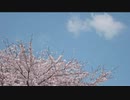 桜舞~ORB~