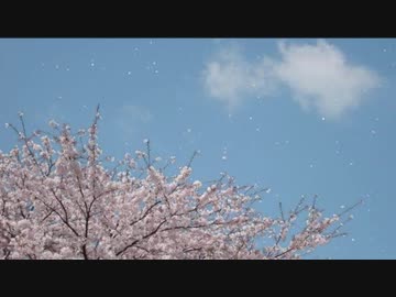 桜舞~ORB~