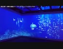 【生海月】なまくらじお【2020.3.13】