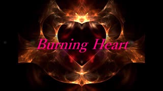 魔王魂 Burning Heart 歌ってみた【月夜見】