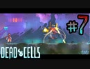【Dead Cells】王の手は人#7